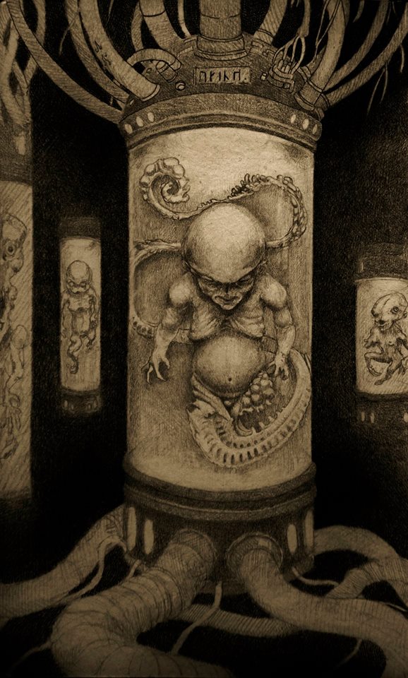 10836452_305644136309476_1310284022_n