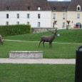 C’est au Château de Gilly, en Côte d’Or, que se déroule actuellement une exposition de figurines animalières. Neuf sculpteurs y présentent des œuvres réalistes comme contemporaines. Gilly les Cîteaux est […]