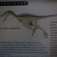 Bonjour à tous, Voici la suite des dinosaures avec la pose des volumes. Les deux sont très enrichissants à faire. Pour ce vélociraptor, une illustration m’a donné envie de lui réaliser des plumes. Mais […]