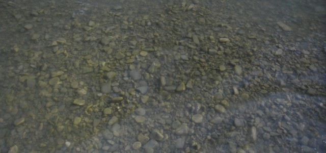 En attendant la reprise des Ateliers du Lundi, voici des photos autour des dernières sorties et lieux d’entraînements. Monts d’Or de Lyon :    Théâtre antique de Fourvière : Parcours Félix Batier, partie […]