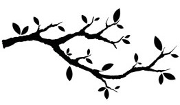 branche-d-arbre-n2