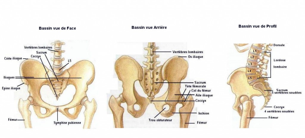 dyn004_original_1627_1138_pjpeg_38209_88f9a6b429631e6cb8c711bc45e227fe