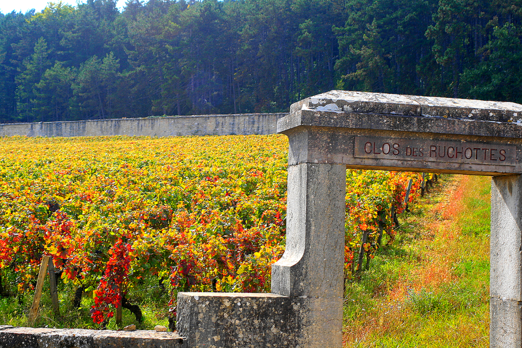Le vendredi 1er mai se tiendra la 9ème édition du Trail du Tacot ! Cette course de 16km dans la nature se déroule dans les combes au dessus de Gevrey Chambertin. Comme […]