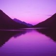 Le violet est une couleur qui s’intègre très bien dans le travail des nuances. Mais en lui même, il n’est vraiment pas facile à dompter. Les teintes présentes dans le […]